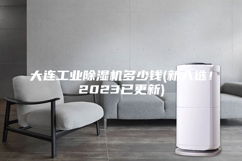 大連工業除濕機多少錢(新入選！2023已更新)