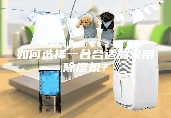 如何選擇一臺合適的家用除濕機？