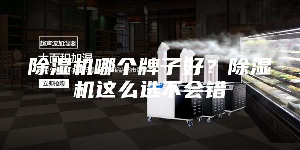 除濕機(jī)哪個牌子好？除濕機(jī)這么選不會錯