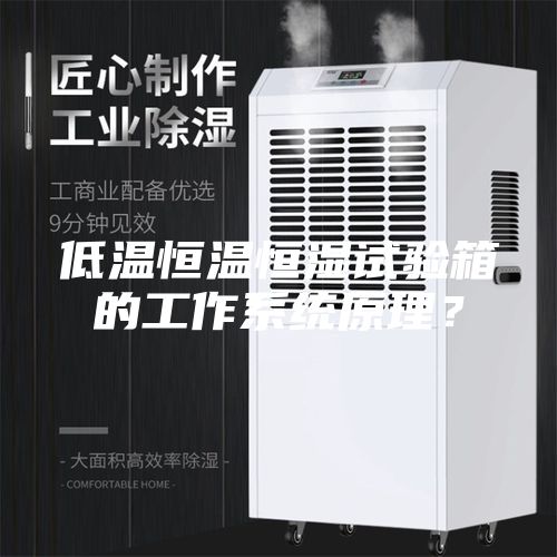 低溫恒溫恒濕試驗箱的工作系統(tǒng)原理？