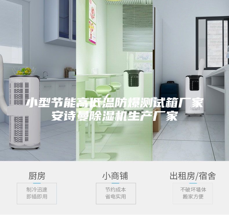 小型節(jié)能高低溫防爆測(cè)試箱廠家安詩曼除濕機(jī)生產(chǎn)廠家