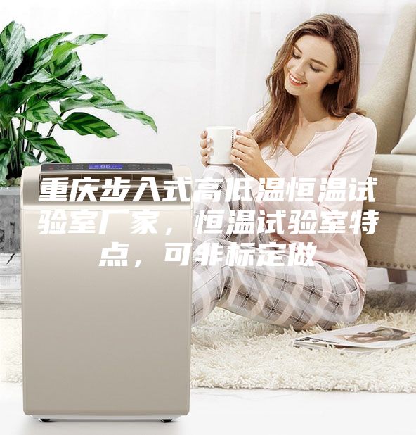 重慶步入式高低溫恒溫試驗室廠家，恒溫試驗室特點，可非標定做