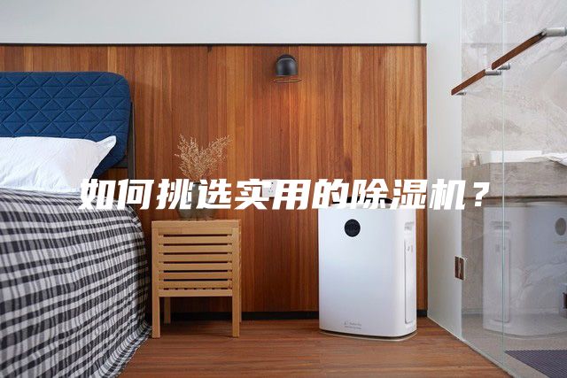 如何挑選實(shí)用的除濕機(jī)？