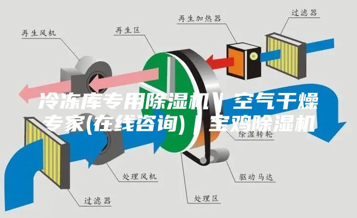 冷凍庫專用除濕機(jī)｜空氣干燥專家(在線咨詢)｜寶雞除濕機(jī)