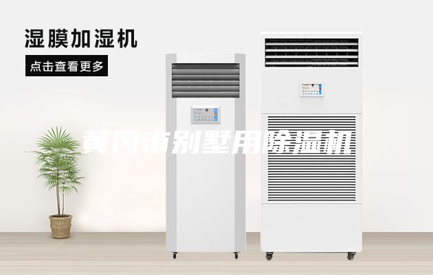 黃岡市別墅用除濕機(jī)