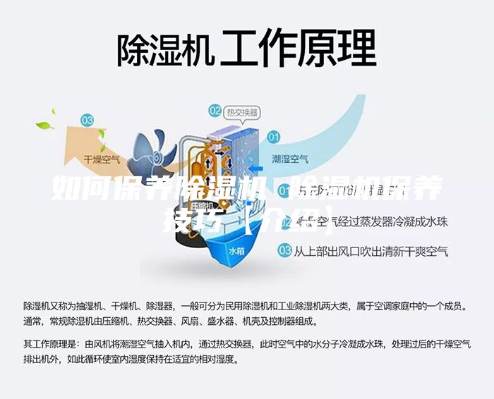 如何保養(yǎng)除濕機(jī) 除濕機(jī)保養(yǎng)技巧【介紹】