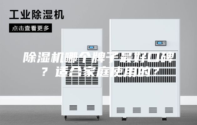 除濕機哪個牌子最好口碑？適合家庭使用的？