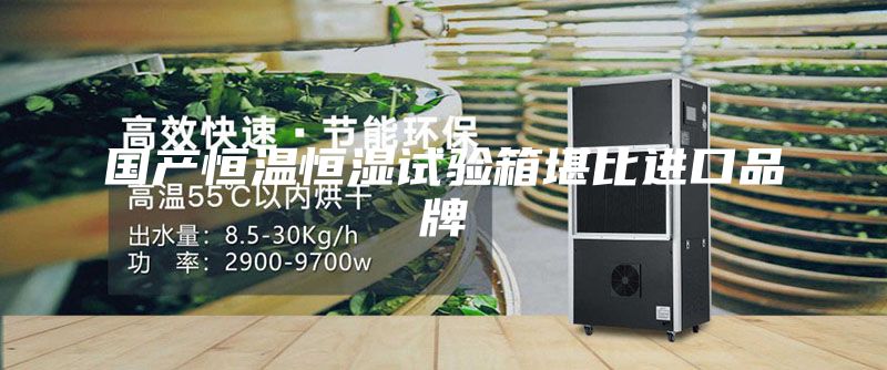 國產恒溫恒濕試驗箱堪比進口品牌