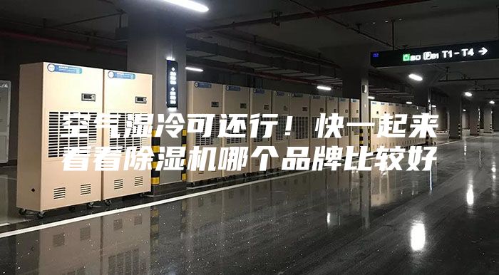 空氣濕冷可還行！快一起來看看除濕機哪個品牌比較好
