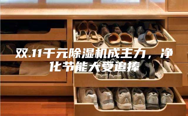 雙.11千元除濕機(jī)成主力，凈化節(jié)能大受追捧