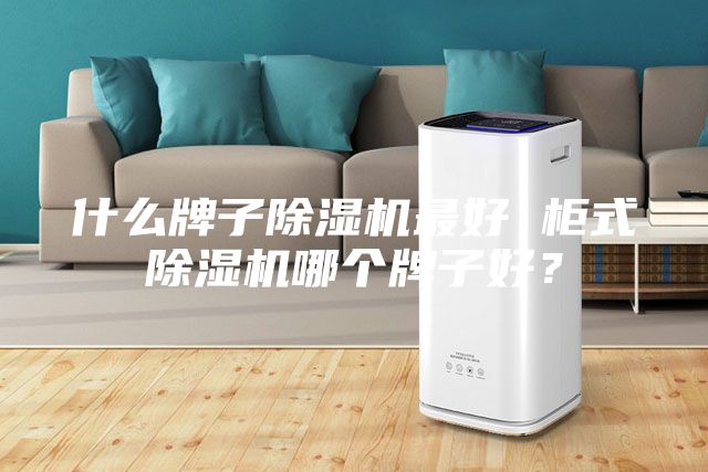 什么牌子除濕機(jī)最好 柜式除濕機(jī)哪個牌子好？