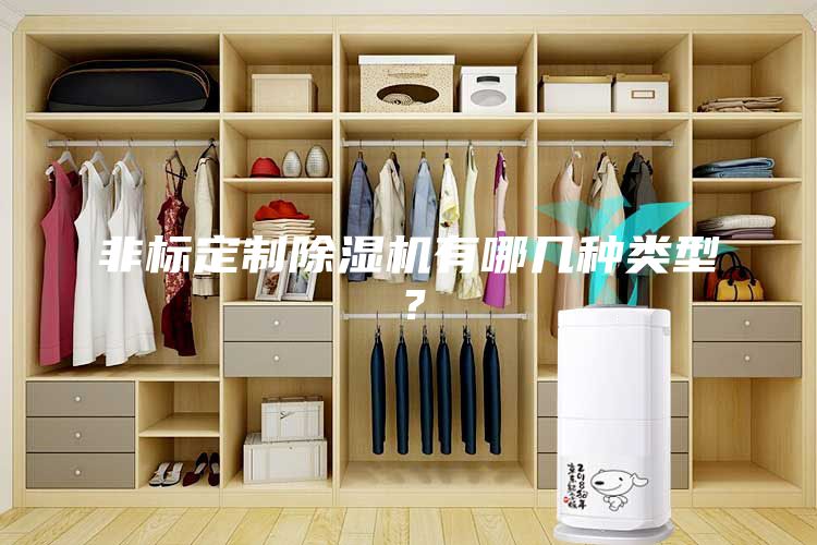 非標(biāo)定制除濕機(jī)有哪幾種類型？