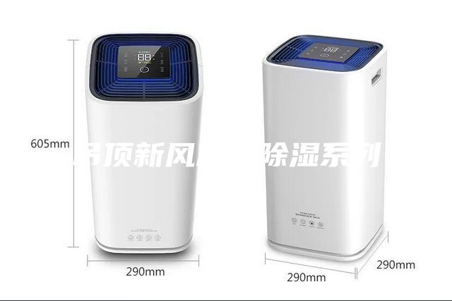 吊頂新風凈化除濕系列