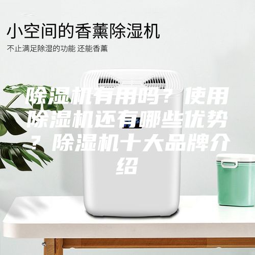 除濕機(jī)有用嗎？使用除濕機(jī)還有哪些優(yōu)勢？除濕機(jī)十大品牌介紹