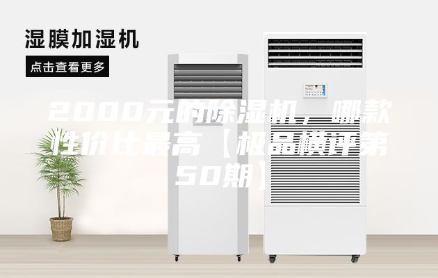 2000元的除濕機，哪款性價比最高【極品橫評第50期】