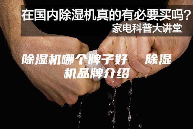 除濕機(jī)哪個(gè)牌子好  除濕機(jī)品牌介紹