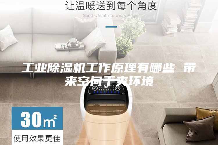 工業(yè)除濕機(jī)工作原理有哪些 帶來(lái)空間干爽環(huán)境