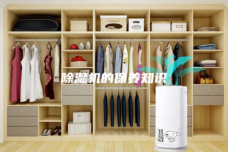 除濕機(jī)的保養(yǎng)知識