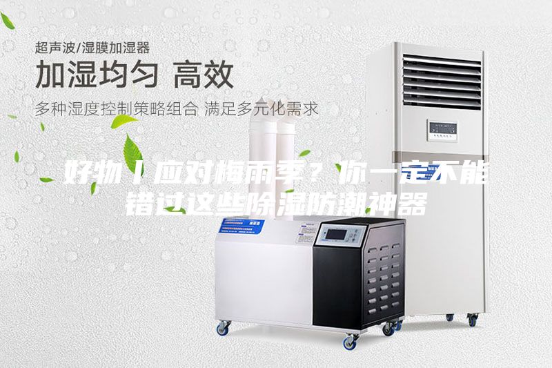 好物丨應對梅雨季？你一定不能錯過這些除濕防潮神器