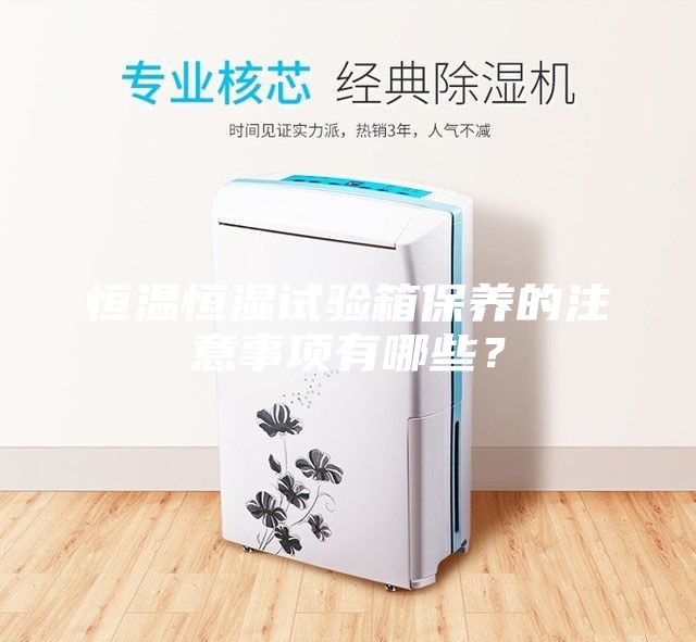 恒溫恒濕試驗箱保養的注意事項有哪些？
