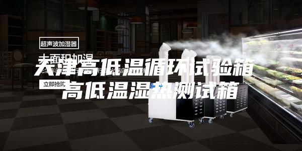 天津高低溫循環試驗箱 高低溫濕熱測試箱