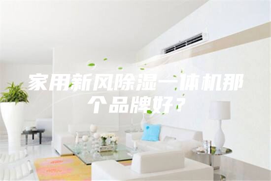 家用新風(fēng)除濕一體機(jī)那個(gè)品牌好？