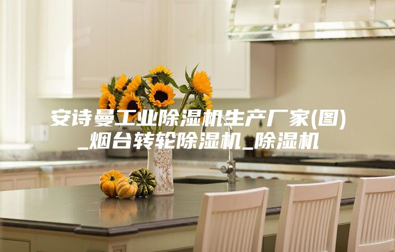 安詩曼工業除濕機生產廠家(圖)_煙臺轉輪除濕機_除濕機