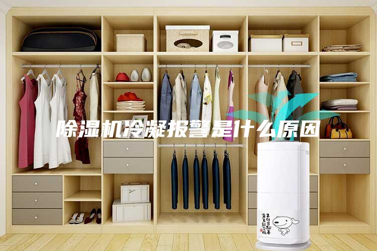除濕機(jī)冷凝報警是什么原因