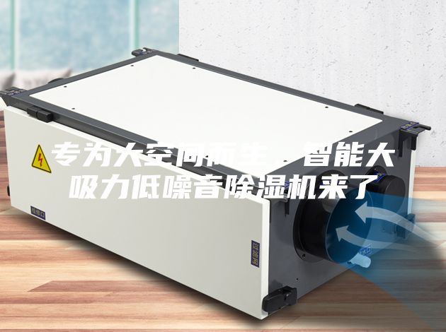 專為大空間而生，智能大吸力低噪音除濕機來了