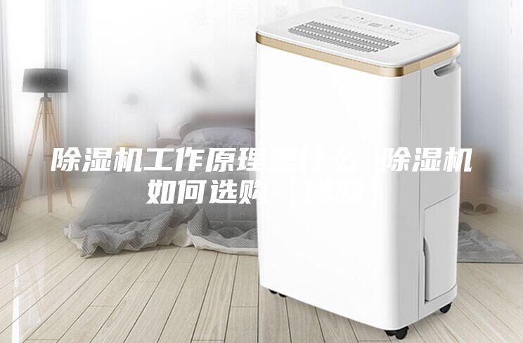 除濕機工作原理是什么 除濕機如何選購【詳解】