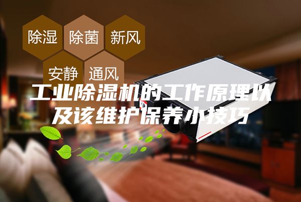 工業除濕機的工作原理以及該維護保養小技巧