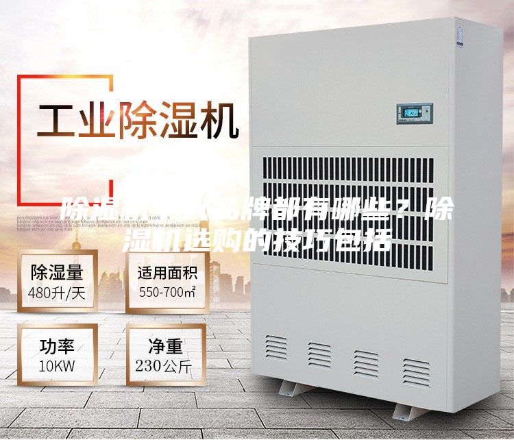 除濕機十大品牌都有哪些？除濕機選購的技巧包括