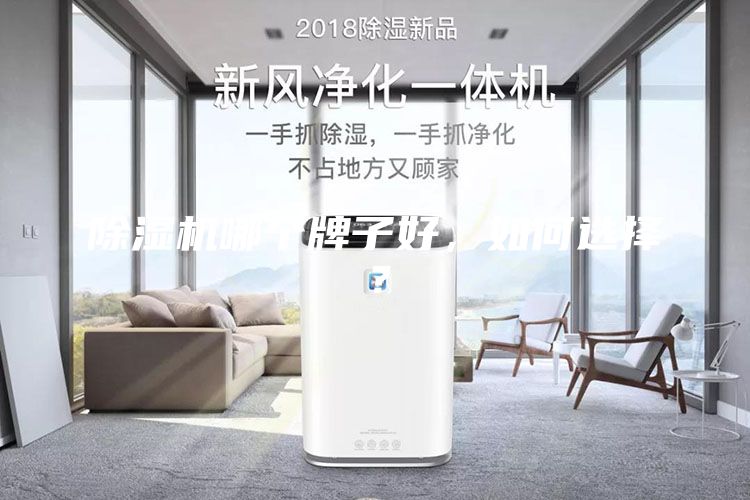 除濕機(jī)哪個(gè)牌子好，如何選擇？