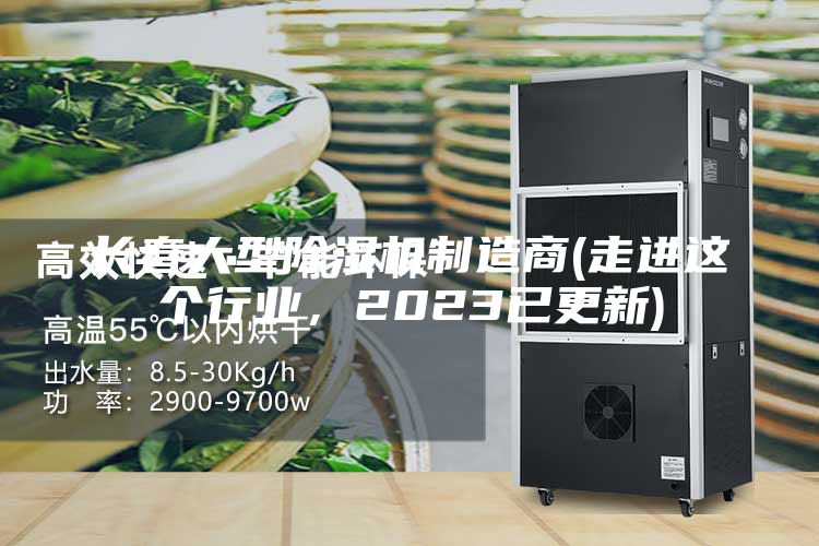 長春大型除濕機制造商(走進這個行業(yè)，2023已更新)