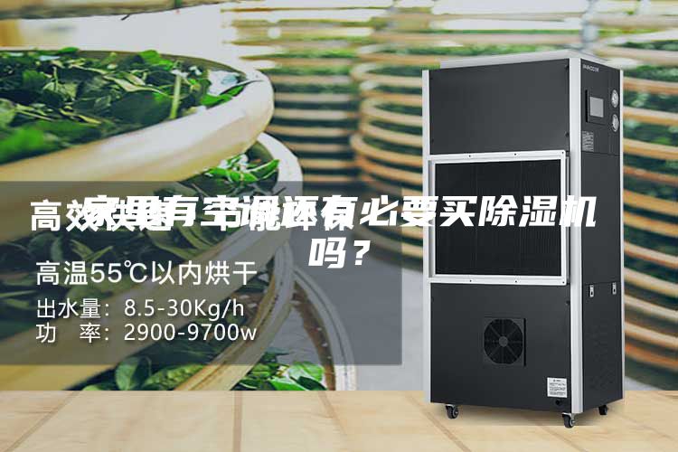 家里有空調(diào)還有必要買除濕機(jī)嗎？