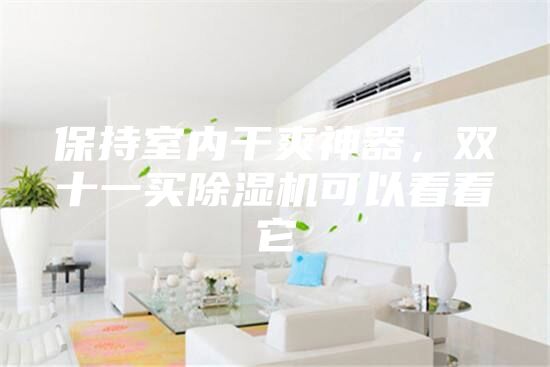 保持室內干爽神器，雙十一買除濕機可以看看它