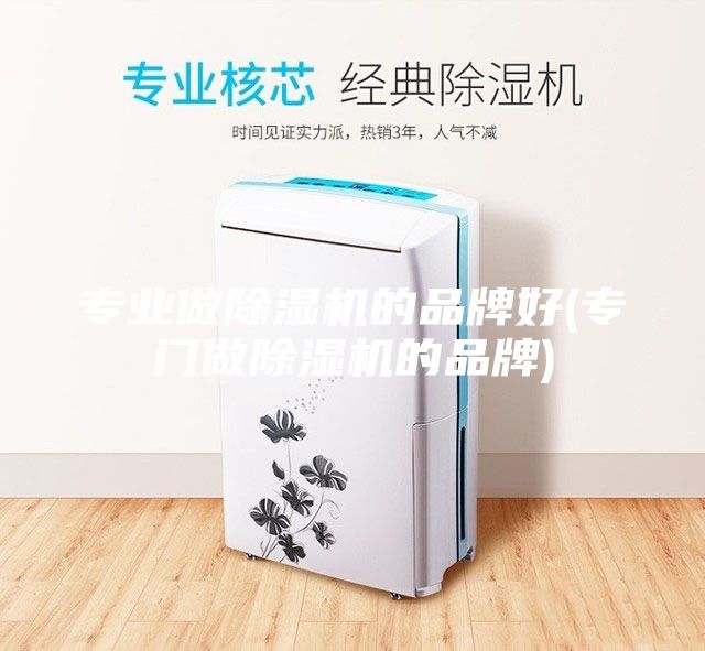 專業做除濕機的品牌好(專門做除濕機的品牌)
