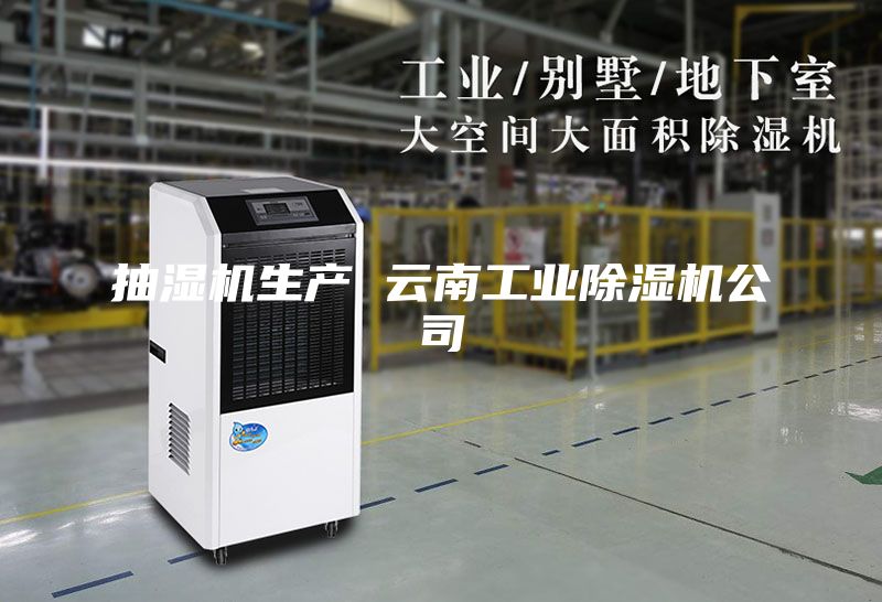 抽濕機生產 云南工業(yè)除濕機公司