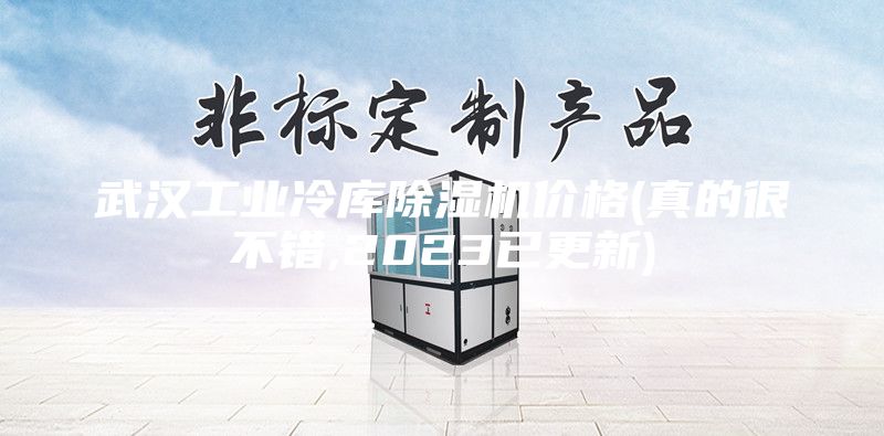 武漢工業(yè)冷庫(kù)除濕機(jī)價(jià)格(真的很不錯(cuò),2023已更新)