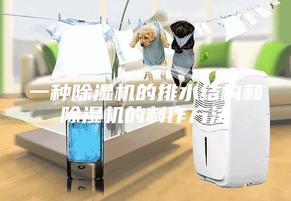 一種除濕機的排水結構和除濕機的制作方法