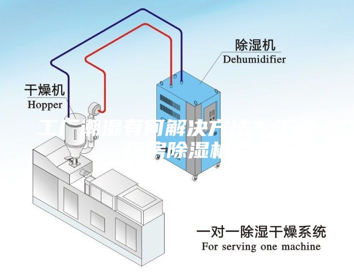 工廠潮濕有何解決方法？工業廠房除濕機