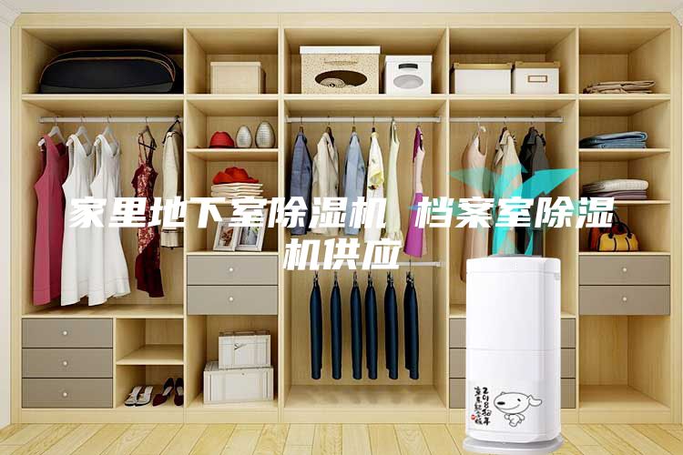 家里地下室除濕機 檔案室除濕機供應