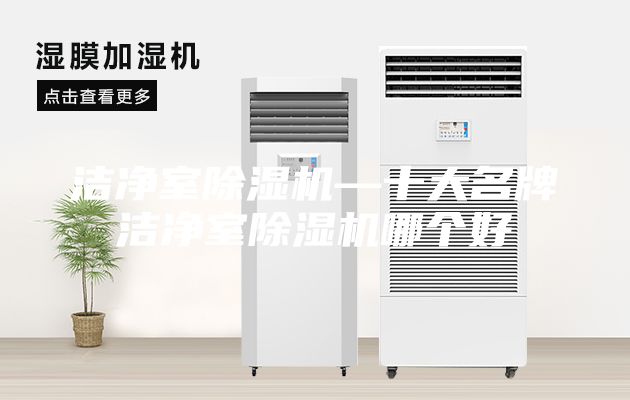 潔凈室除濕機(jī)—十大名牌潔凈室除濕機(jī)哪個(gè)好