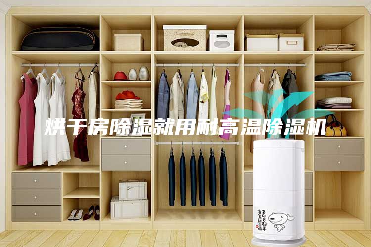 烘干房除濕就用耐高溫除濕機