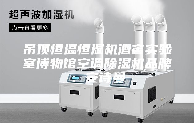 吊頂恒溫恒濕機(jī)酒窖實驗室博物館空調(diào)除濕機(jī)品牌：安詩曼