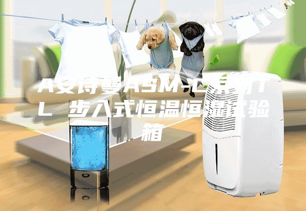 A安詩曼ASM-C系列TL 步入式恒溫恒濕試驗(yàn)箱