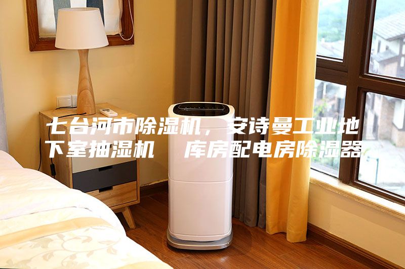 七臺(tái)河市除濕機(jī)，安詩曼工業(yè)地下室抽濕機(jī)  庫房配電房除濕器