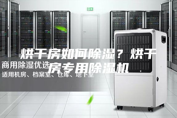 烘干房如何除濕？烘干房專用除濕機(jī)