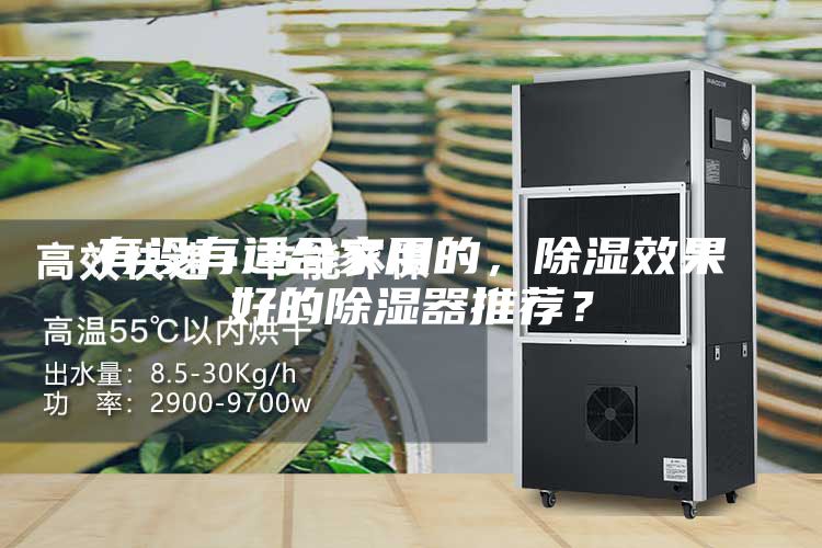 有沒有適合家用的，除濕效果好的除濕器推薦？