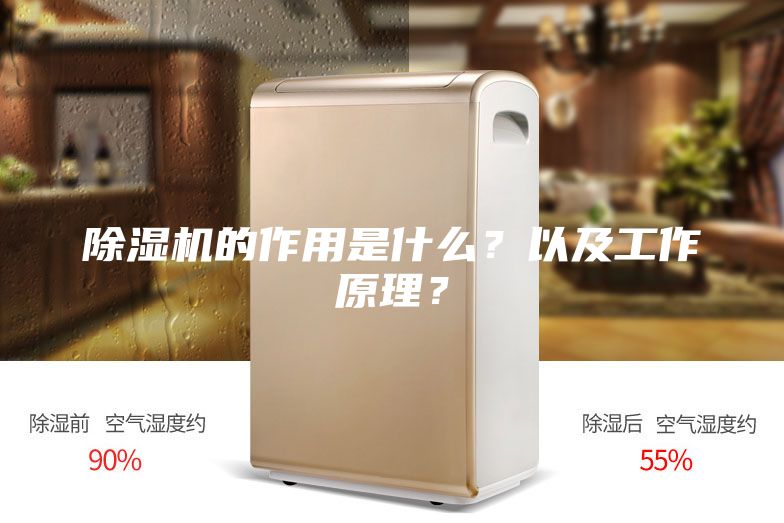 除濕機的作用是什么？以及工作原理？